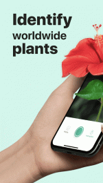 دانلود برنامه شناسایی و نمایش اطلاعات گل و گیاه در اندروید PictureThis